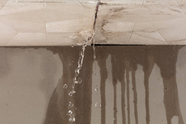 Professional Water Extraction technician working in Mount Cory, OH